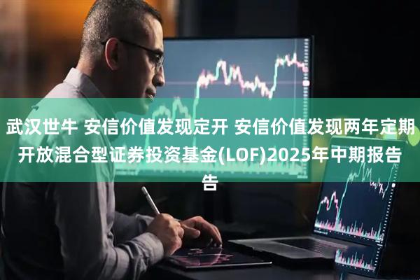 武汉世牛 安信价值发现定开 安信价值发现两年定期开放混合型证券投资基金(LOF)2025年中期报告