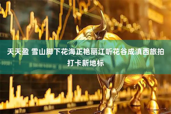 天天盈 雪山脚下花海正艳丽江听花谷成滇西旅拍打卡新地标