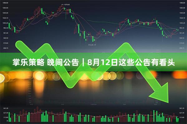 掌乐策略 晚间公告｜8月12日这些公告有看头